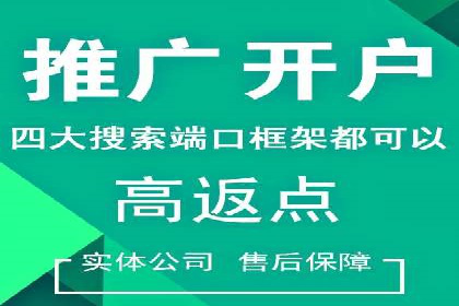 行业领先企业的SEM广告策略与效果分析